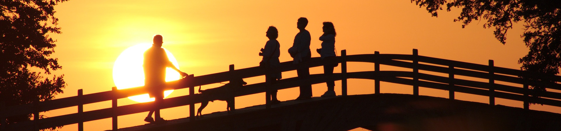 Group12-1920x450 Silhouette of group of happy people