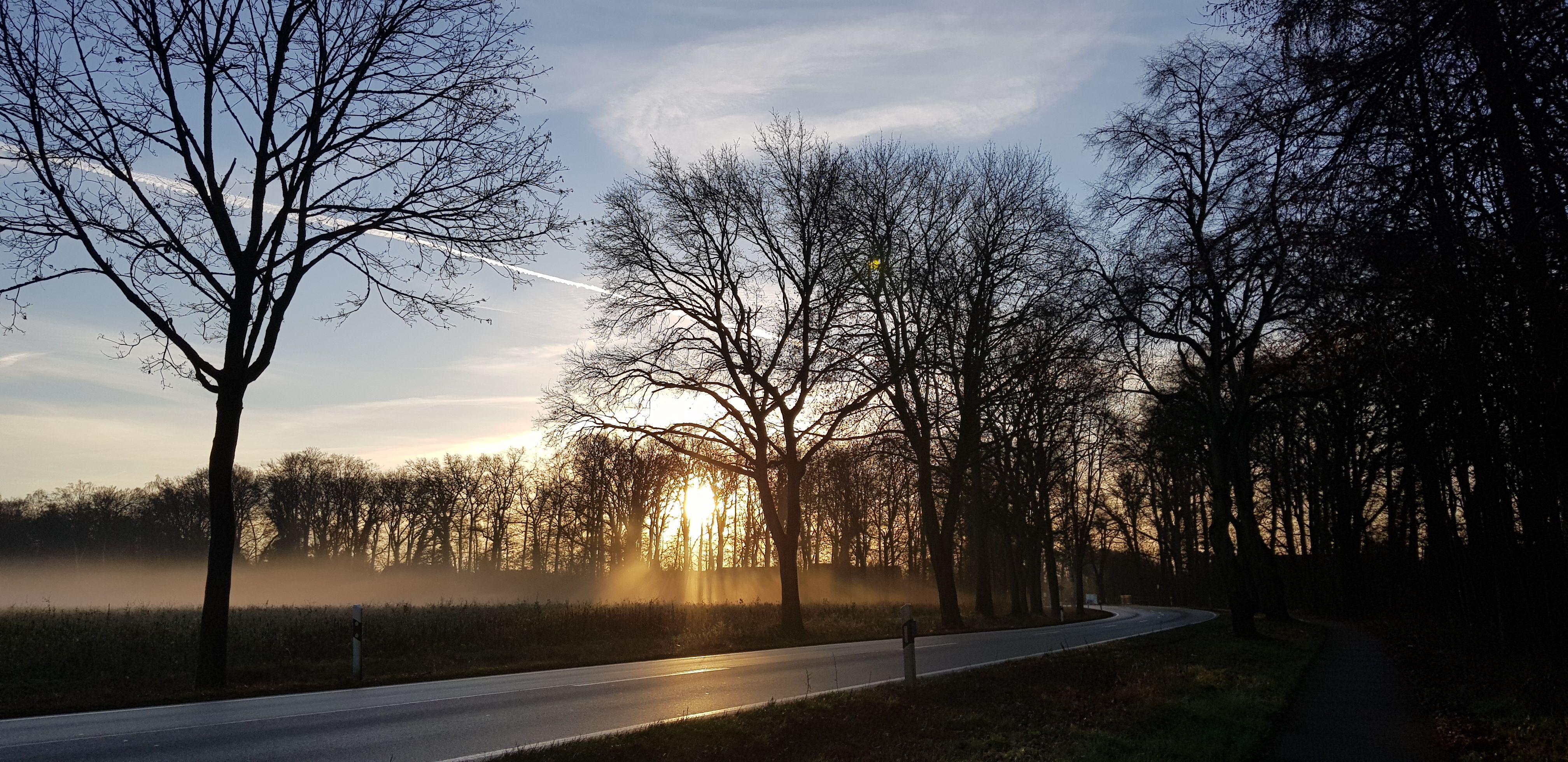 oberer Rand.jpg Sonnenuntergang an einer Straße; das Sonnenlicht durchflutet Bäume am Wegesrand