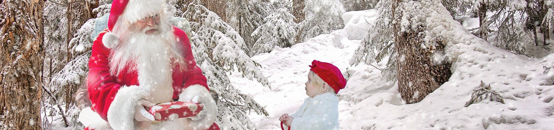 Santa Clause in the forest